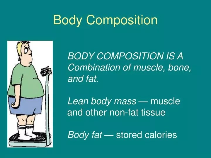 PPT Body Composition PowerPoint Presentation, free download ID3790236