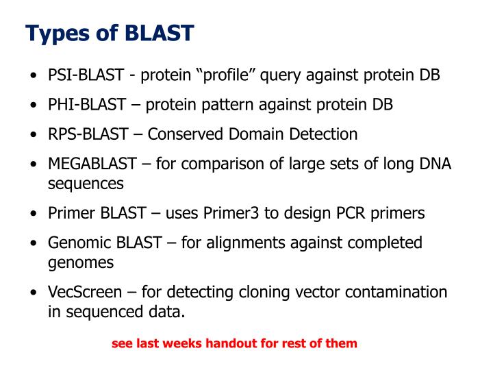 PPT BLAST PowerPoint Presentation ID3793287