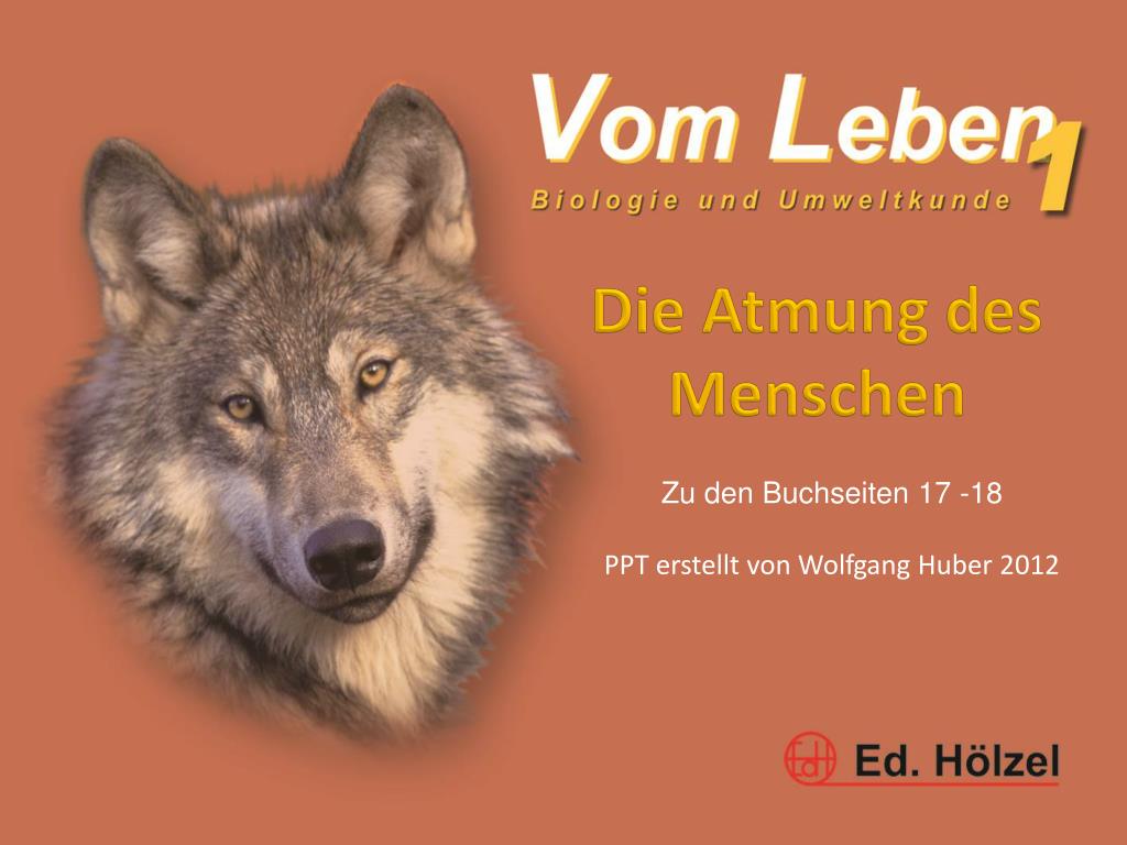 Ppt Die Atmung Des Menschen Powerpoint Presentation Free Download Id 3793409