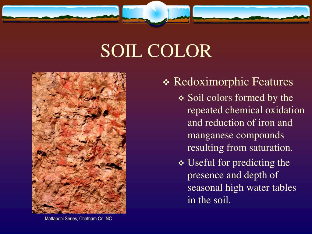 PPT IMPORTANT SOIL PROPERTIES PowerPoint Presentation, free download