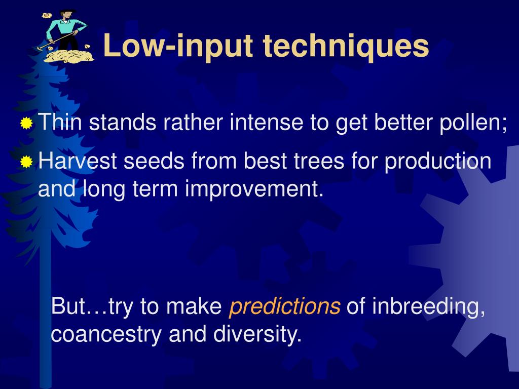 PPT Low Input Tree Breeding Strategies PowerPoint Presentation, free
