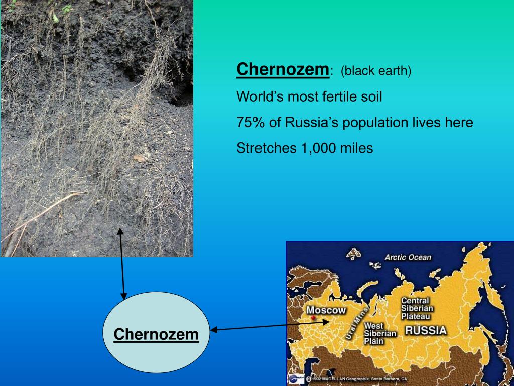 PPT RUSSIA AND THE REPUBLICS PowerPoint Presentation, free download