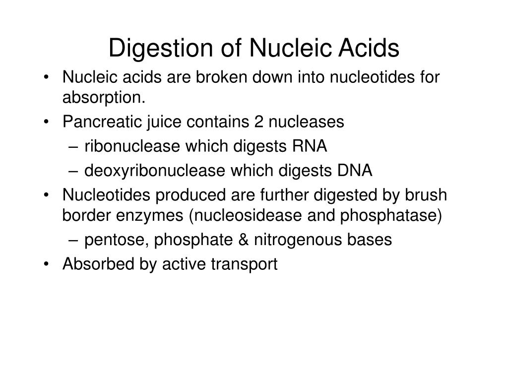 PPT Histology of the Liver PowerPoint Presentation, free download ID3800030