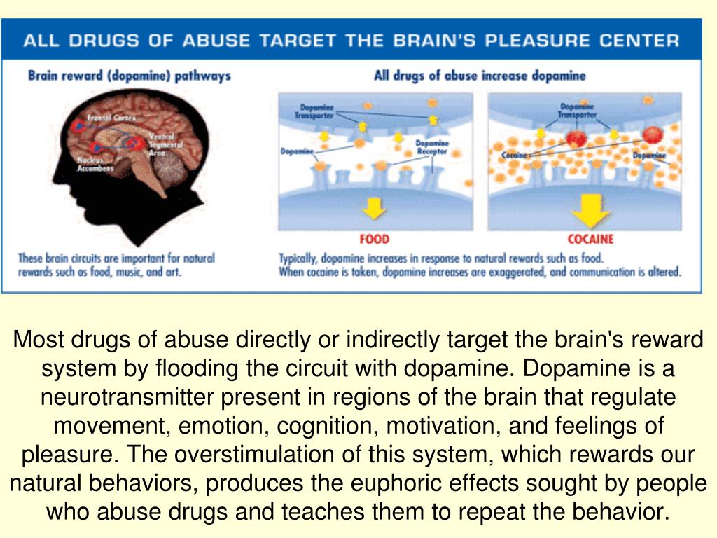 PPT Aim How do drugs affect the brain? PowerPoint Presentation, free