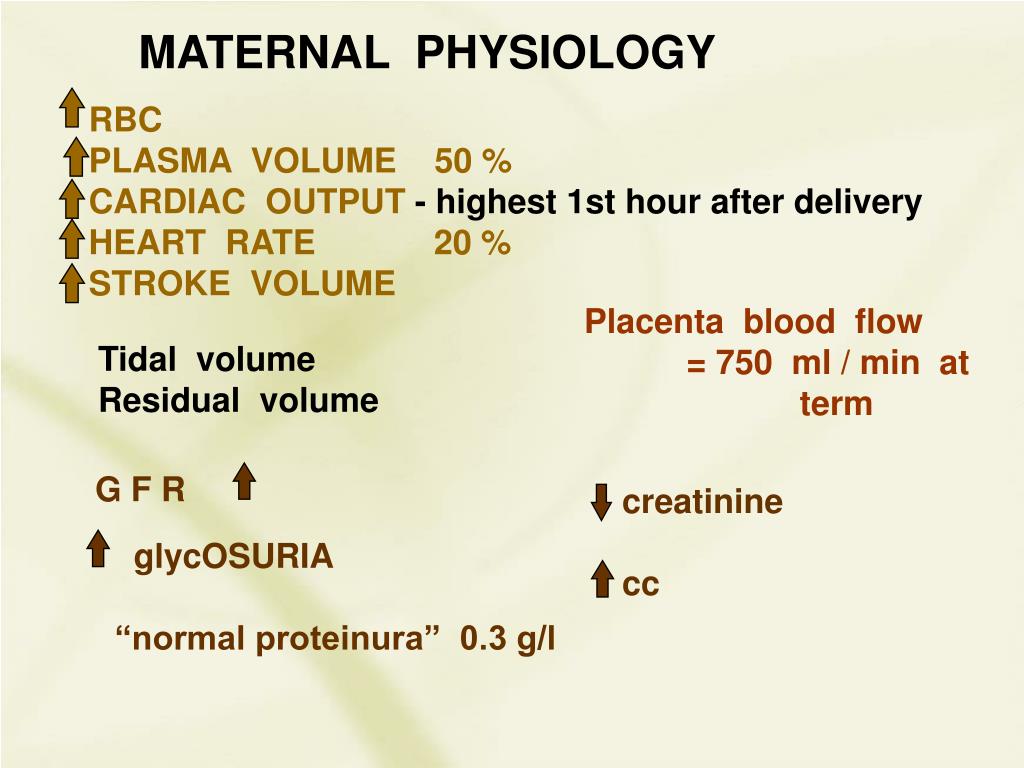 PPT EARLY PREGNANCY PowerPoint Presentation ID3804180