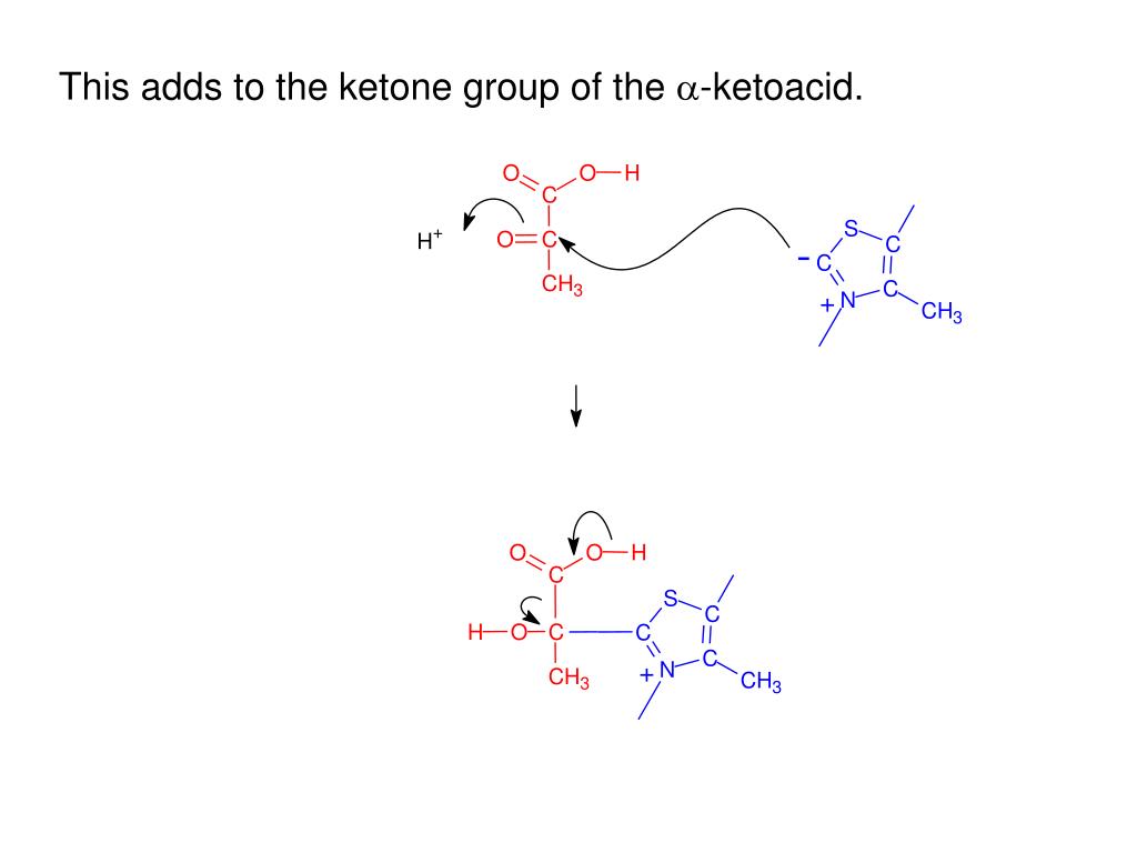 PPT Thiamine was the 1 st vitamin ( vit al amin e) ever discovered