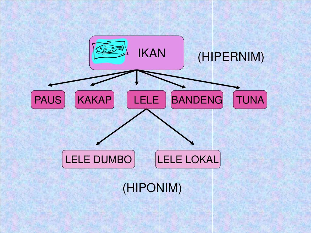 Terbaru IstilahIstilah Dibawah Ini Berkenaan Dengan Bidang Bahasa