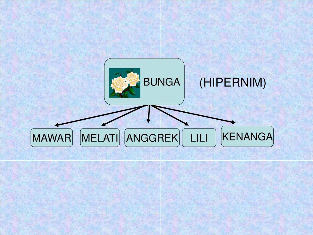 Terbaru IstilahIstilah Dibawah Ini Berkenaan Dengan Bidang Bahasa