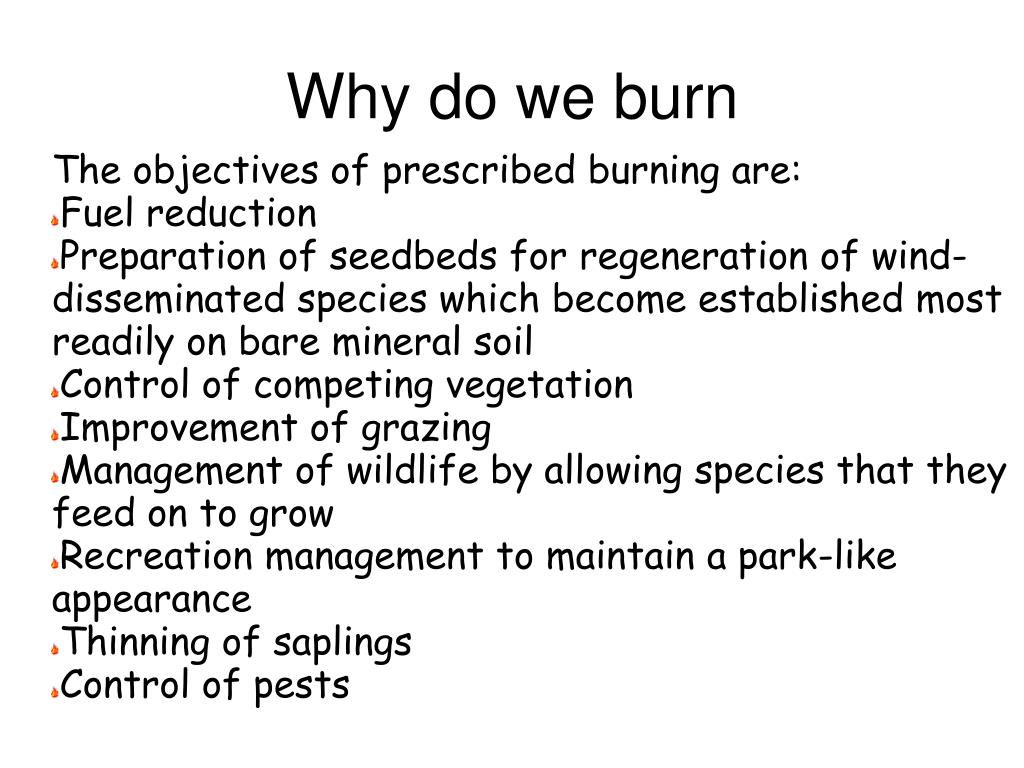 PPT Fire Ecology PowerPoint Presentation, free download ID3810845