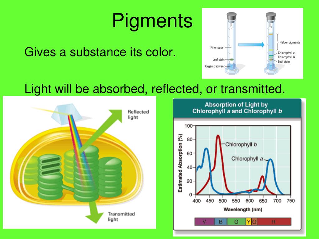 PPT The _______ Cycle PowerPoint Presentation, free download ID3811016