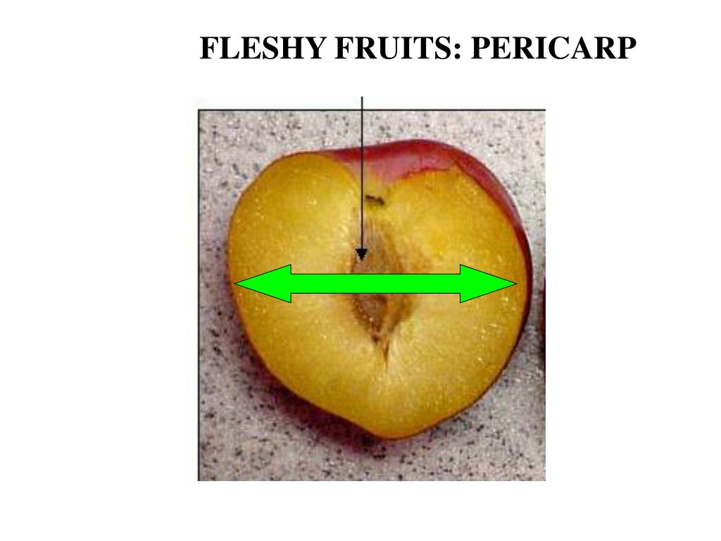 PPT FRUIT PowerPoint Presentation, free download ID3812061