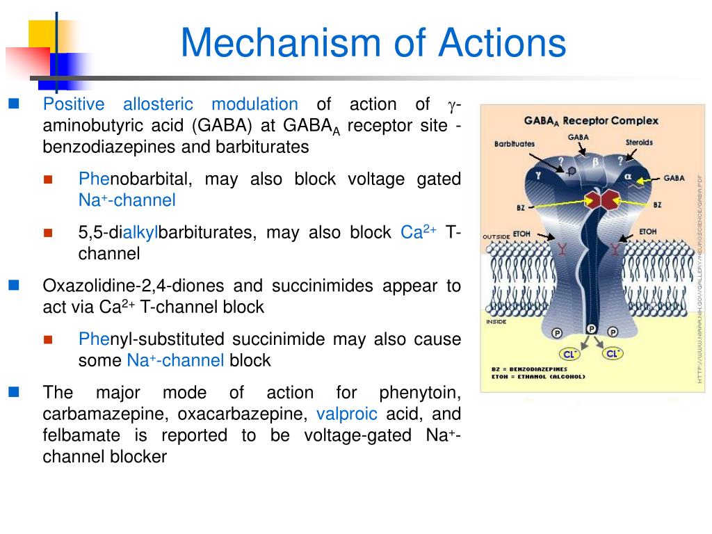 Mechanism Of Drug Action