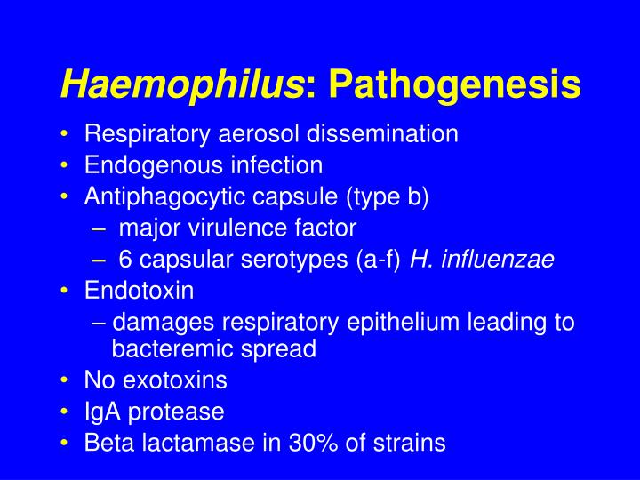 PPT Mycoplasmas and Fastidious Gramnegative Bacteria PowerPoint