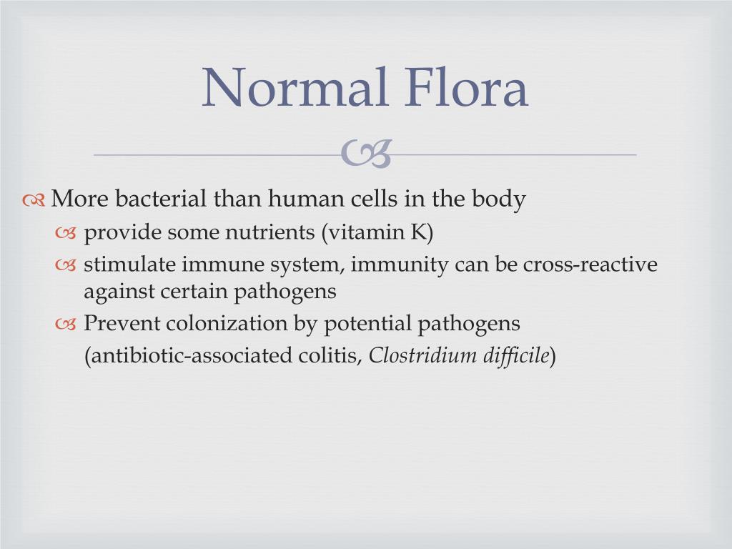PPT Chapter 4 NORMAL FLORA & HOST PARASITE RELATIONSHIP PowerPoint