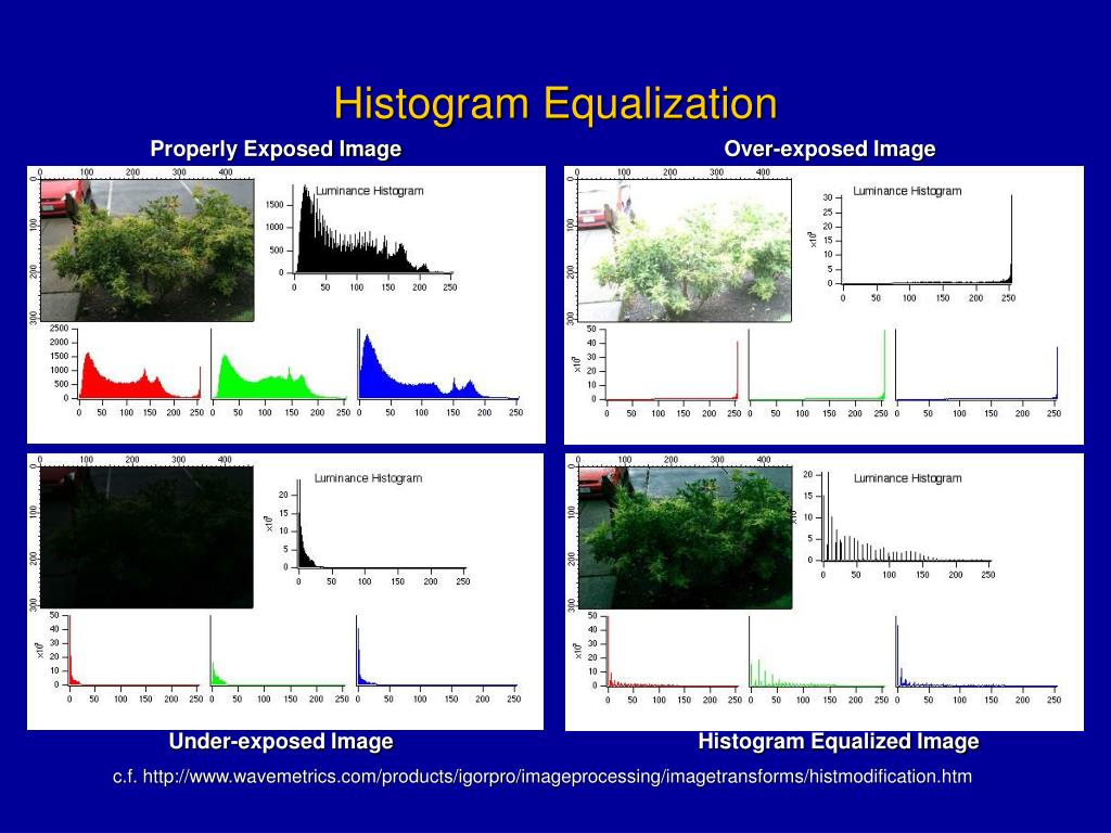PPT Digital Radiography Chapter 11 Adjuncts to Radiology Chapter