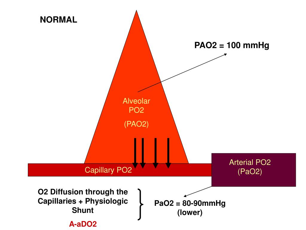 PPT Arterial Blood Gas INTERPRETATION Manuel Antonio Ko, MD Section