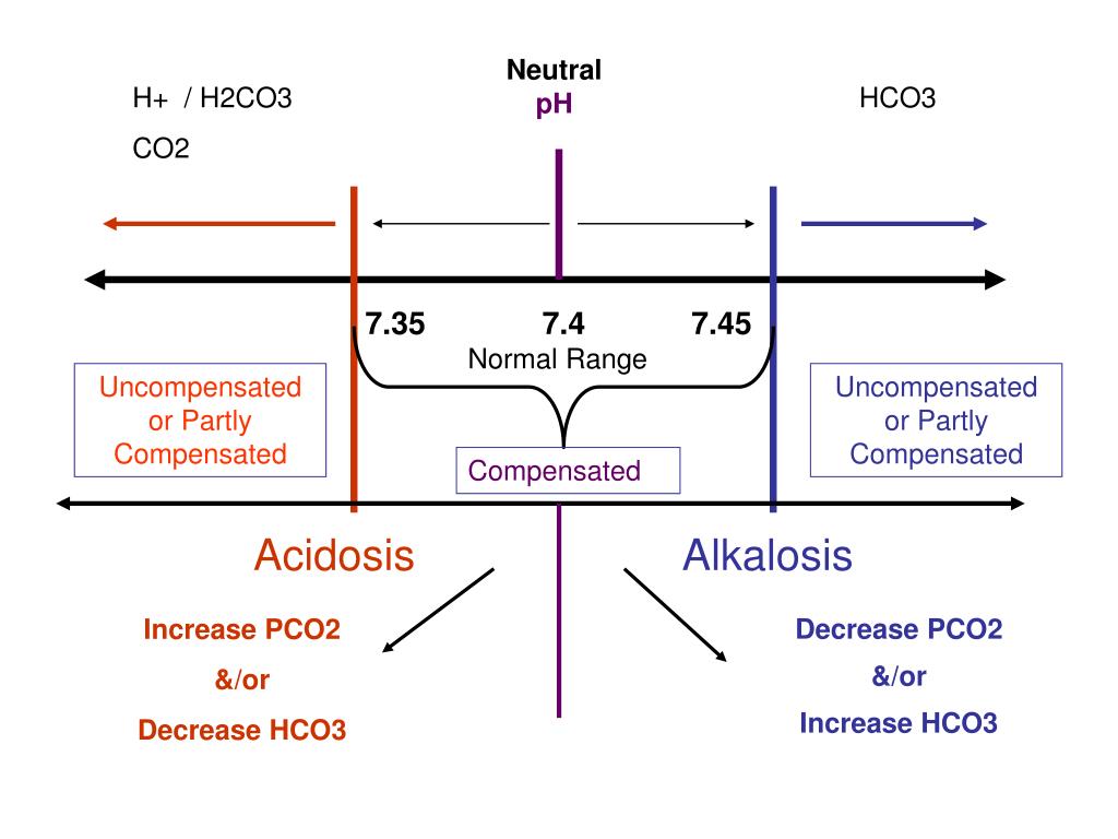 PPT Arterial Blood Gas INTERPRETATION Manuel Antonio Ko, MD Section