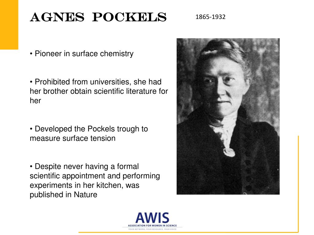 PPT Famous Women in Science, Technology, Engineering, Mathematics