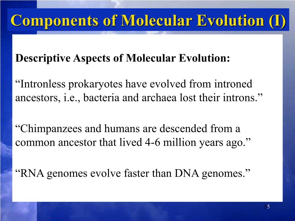 PPT What is molecular evolution? PowerPoint Presentation, free