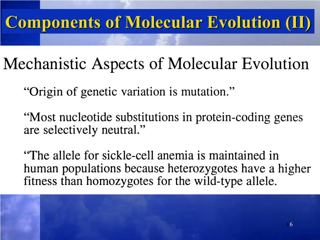 PPT What is molecular evolution? PowerPoint Presentation, free