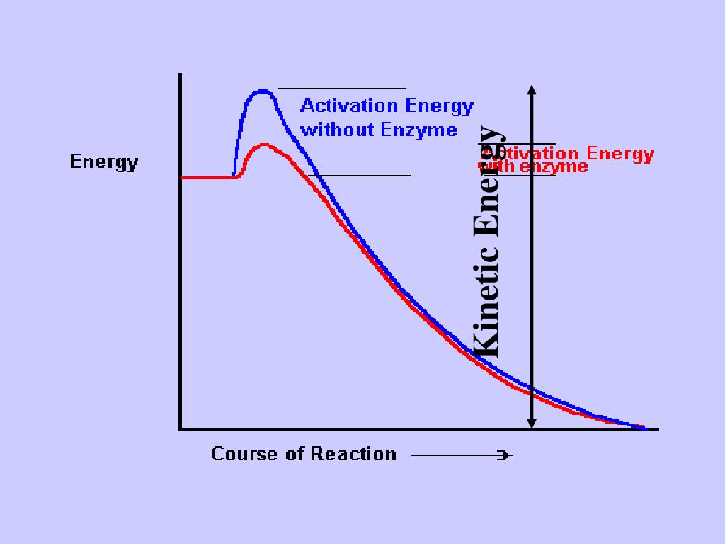 PPT Potential Energy (E P ) Energy that is stored , either as