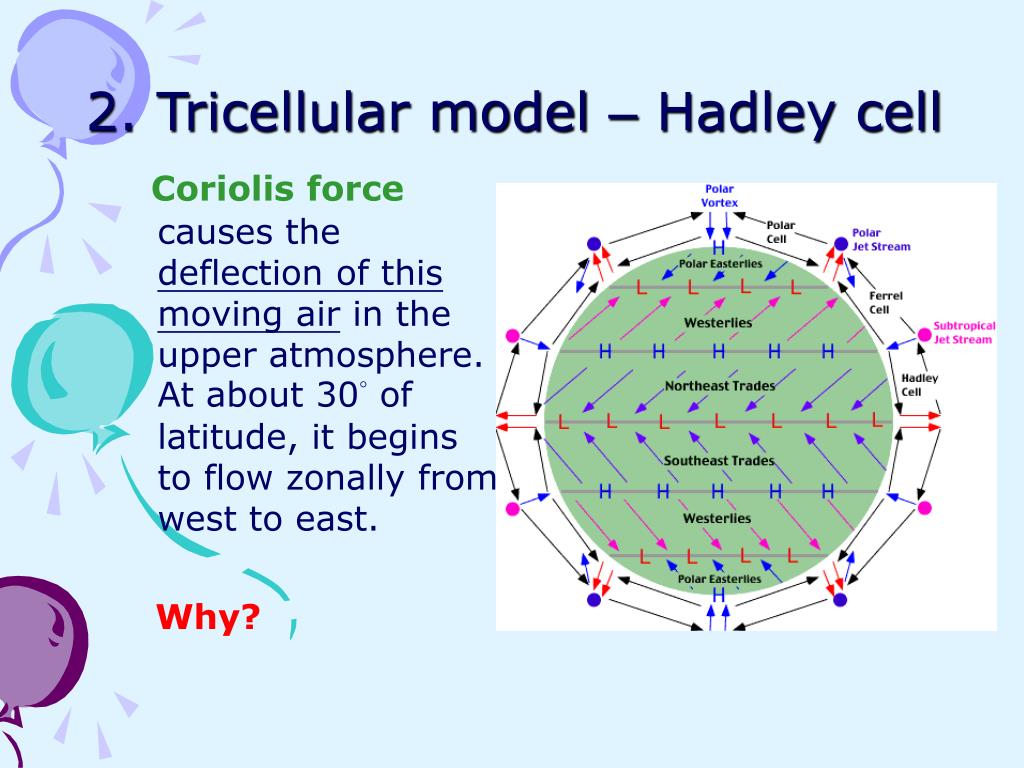 PPT Atmospheric Circulation global circulation