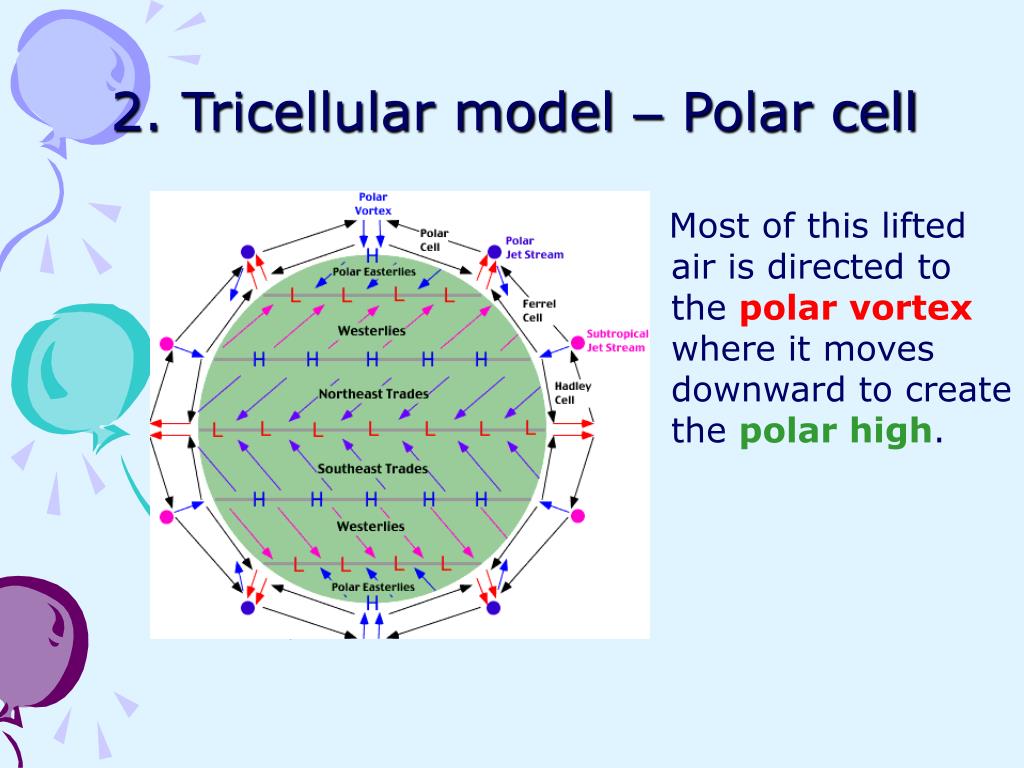 PPT Atmospheric Circulation global circulation PowerPoint