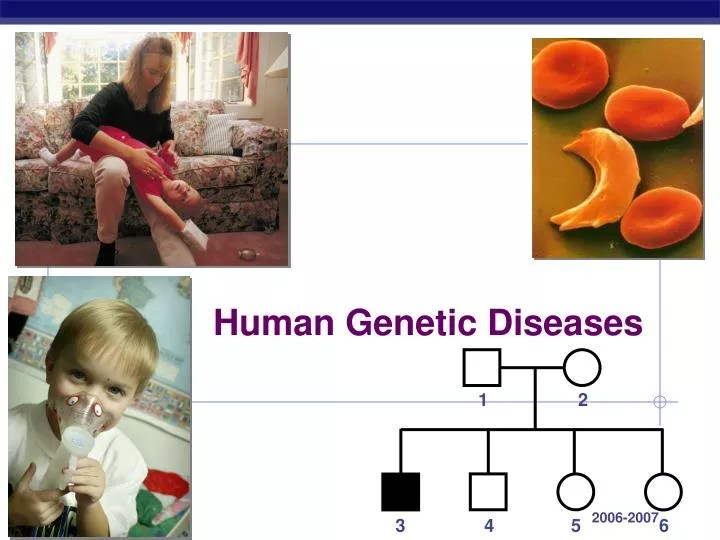 PPT Human Diseases PowerPoint Presentation, free download