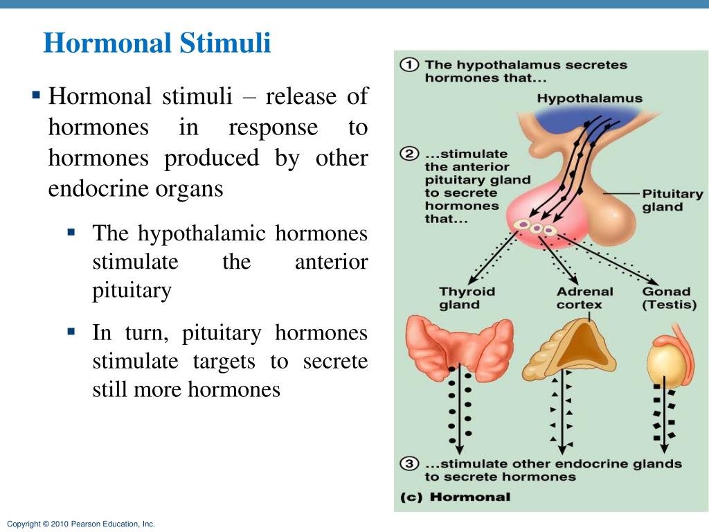 PPT Define Hormone PowerPoint Presentation, free download ID3836702