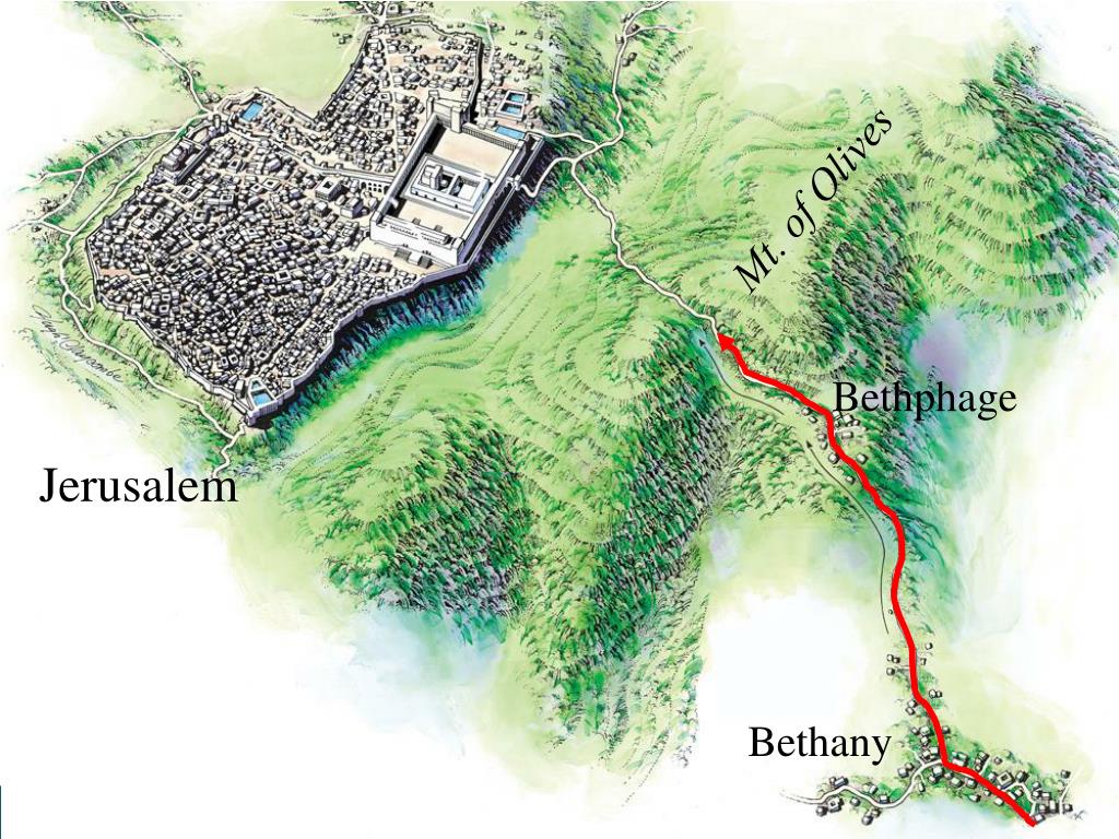 City Near The Mount Of Olives Crossword at Paul Morrison blog