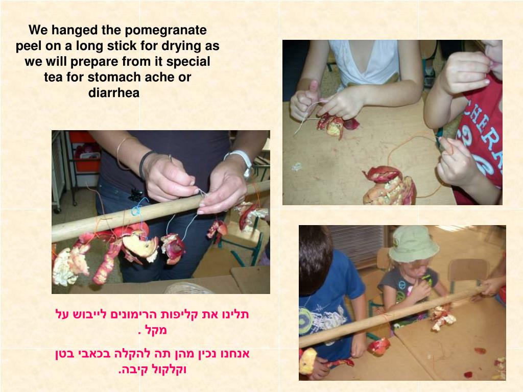 PPT Documentation from the activities in “ Parpar Nechmad