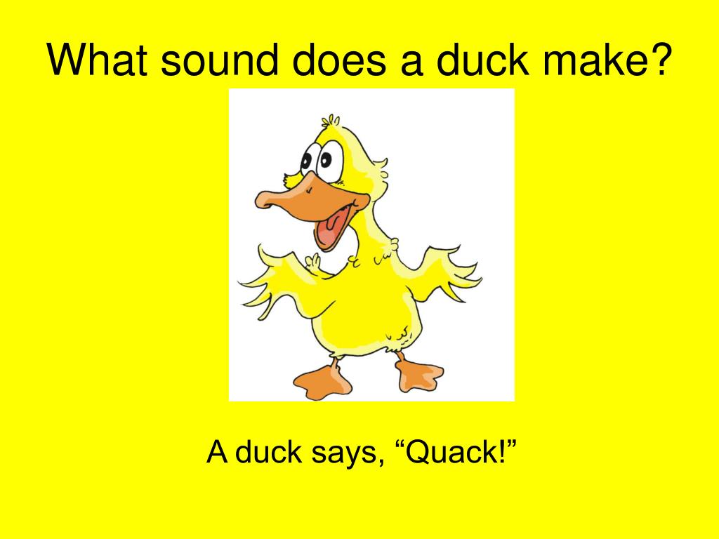 PPT Animal Noises PowerPoint Presentation, free download ID3848859