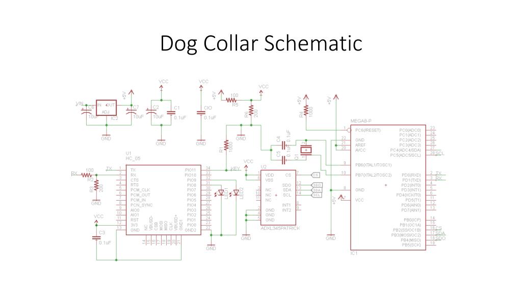 PPT Puppy Pal PowerPoint Presentation, free download ID3854796