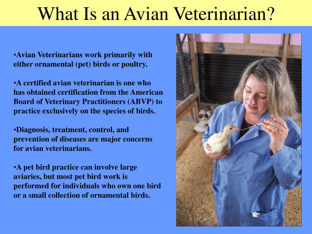 PPT Agricultural Careers PowerPoint Presentation, free download ID