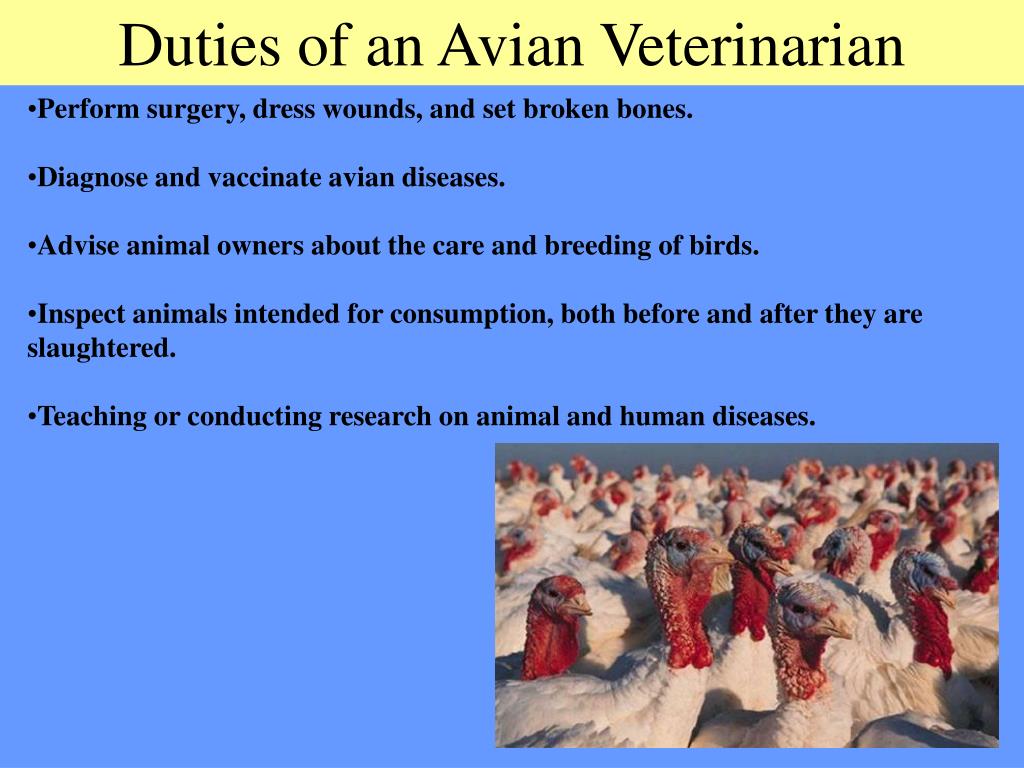 PPT Agricultural Careers PowerPoint Presentation, free download ID