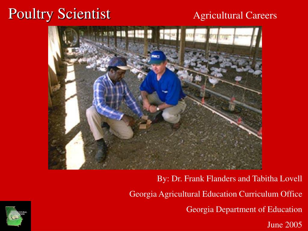 PPT Poultry Scientist Agricultural Careers PowerPoint Presentation, free download ID3864838
