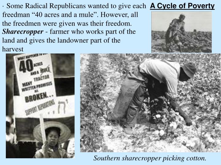 Image 55 of What Problems Did Southern Cotton Planters Face