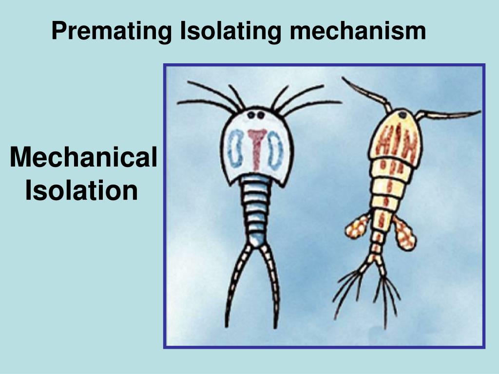 PPT Evolution evidence and types of data PowerPoint Presentation