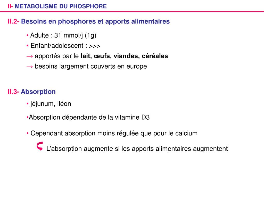 PPT METABOLISME PHOSPHOCALCIQUE PowerPoint Presentation