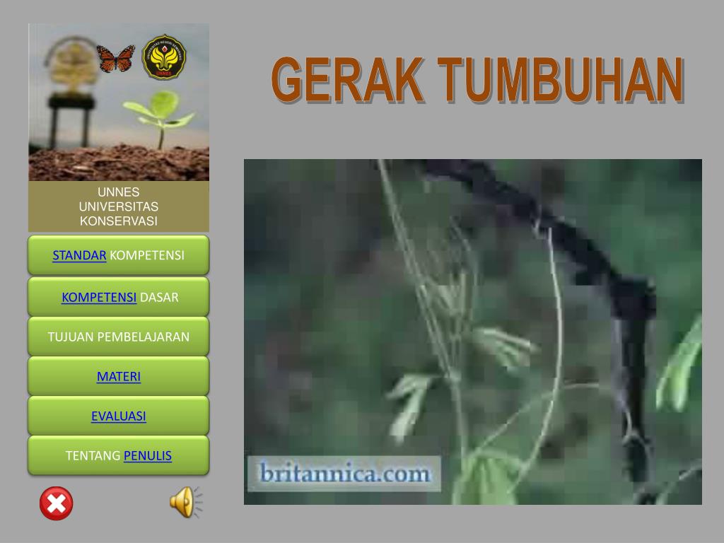 PPT GERAK TUMBUHAN PowerPoint Presentation, free download ID3875076