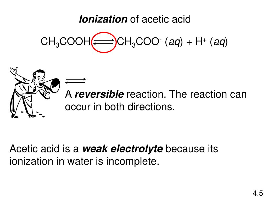 PPT Reactions in Aqueous Solution PowerPoint