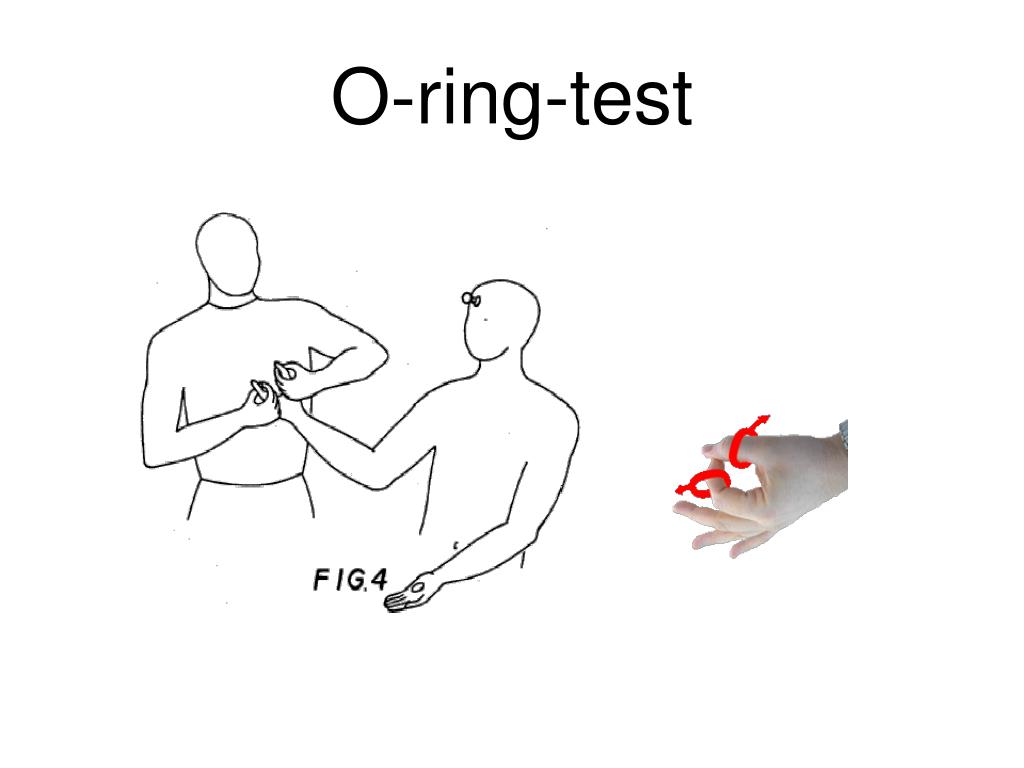PPT Oringtest PowerPoint Presentation, free download ID3880784