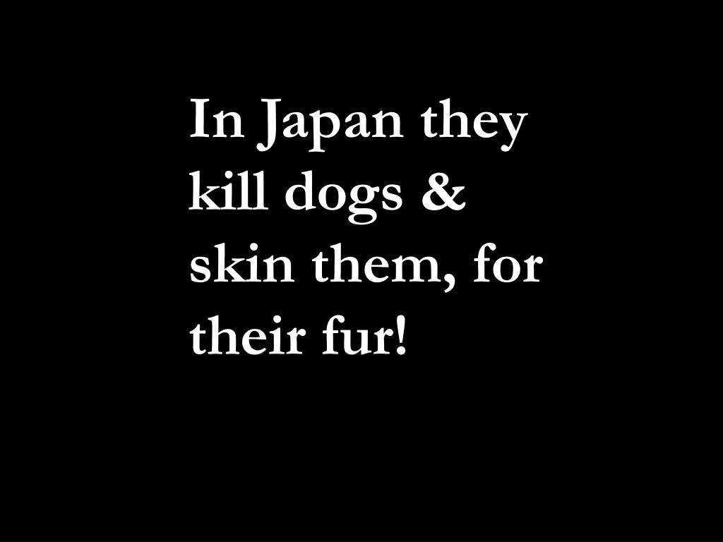 PPT Mans Best friend…. PowerPoint Presentation, free download ID