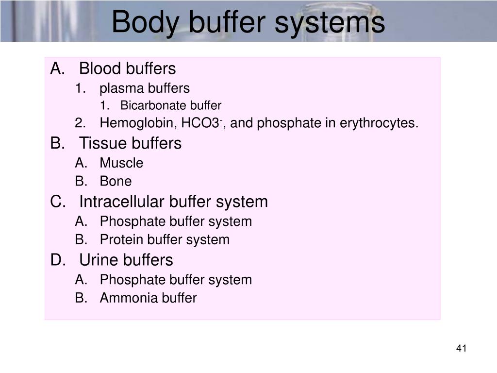 PPT Water & Buffers PowerPoint Presentation, free download ID3886735