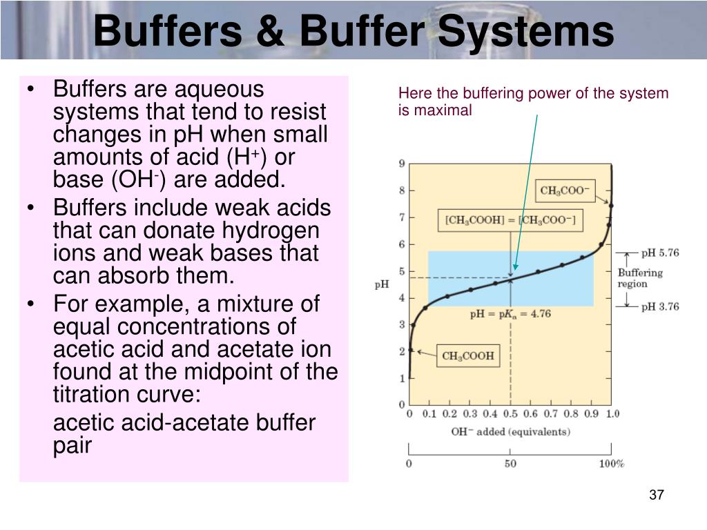 PPT Water & Buffers PowerPoint Presentation, free download ID3886735