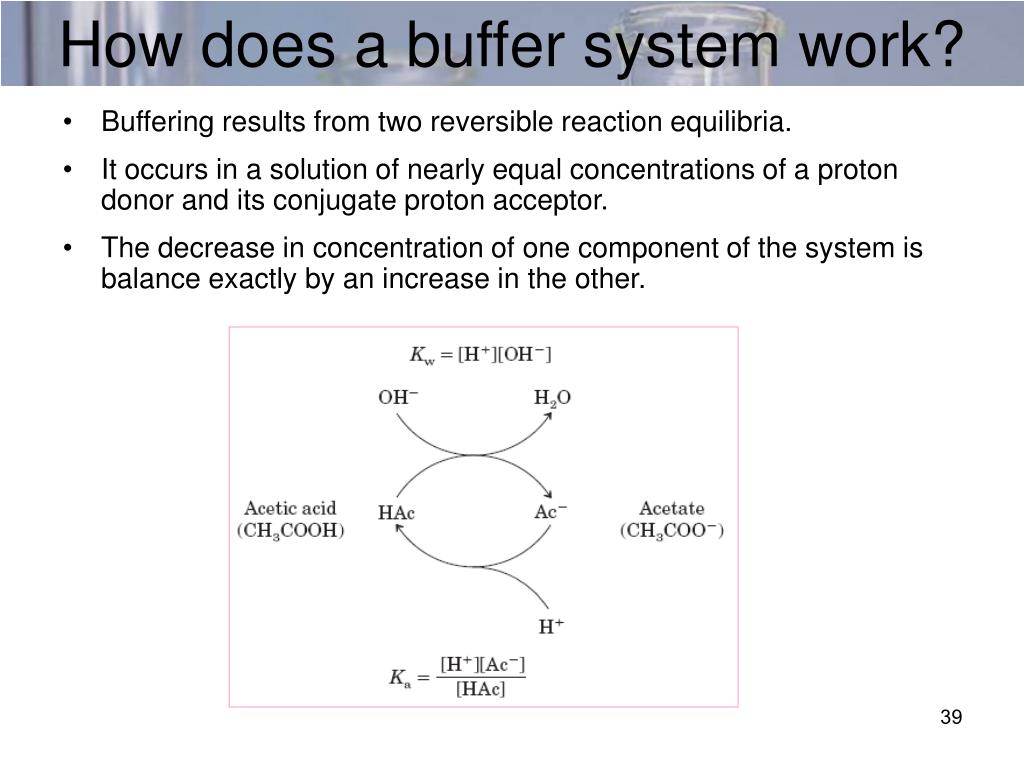 PPT Water & Buffers PowerPoint Presentation, free download ID3886735