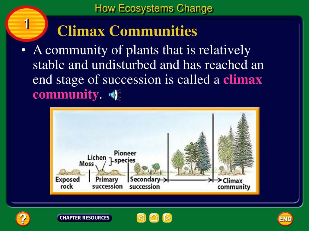 PPT Chapter Ecosystems PowerPoint Presentation, free download ID