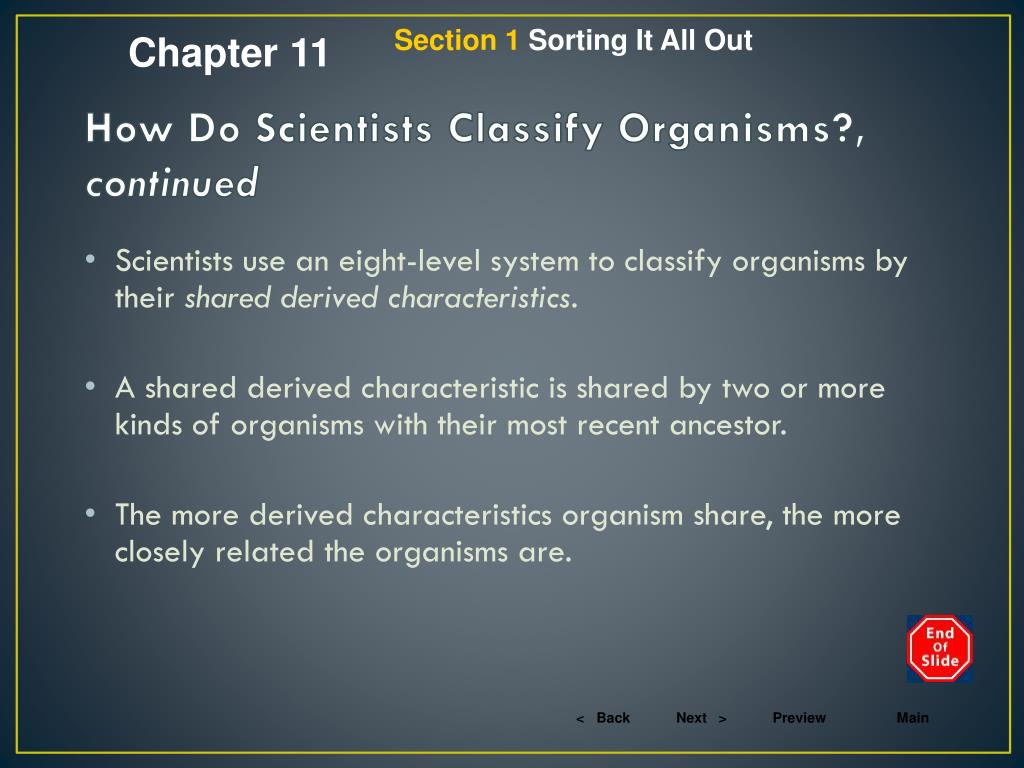 PPT Preview PowerPoint Presentation, free download ID3892248