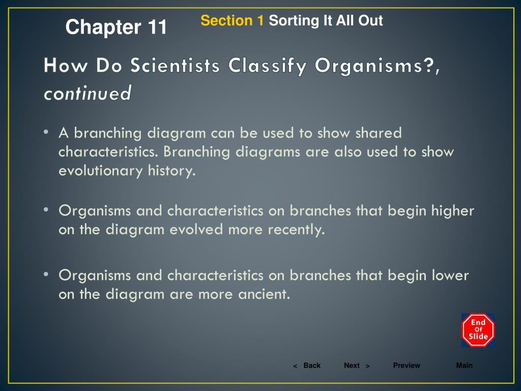 PPT Preview PowerPoint Presentation, free download ID3892248