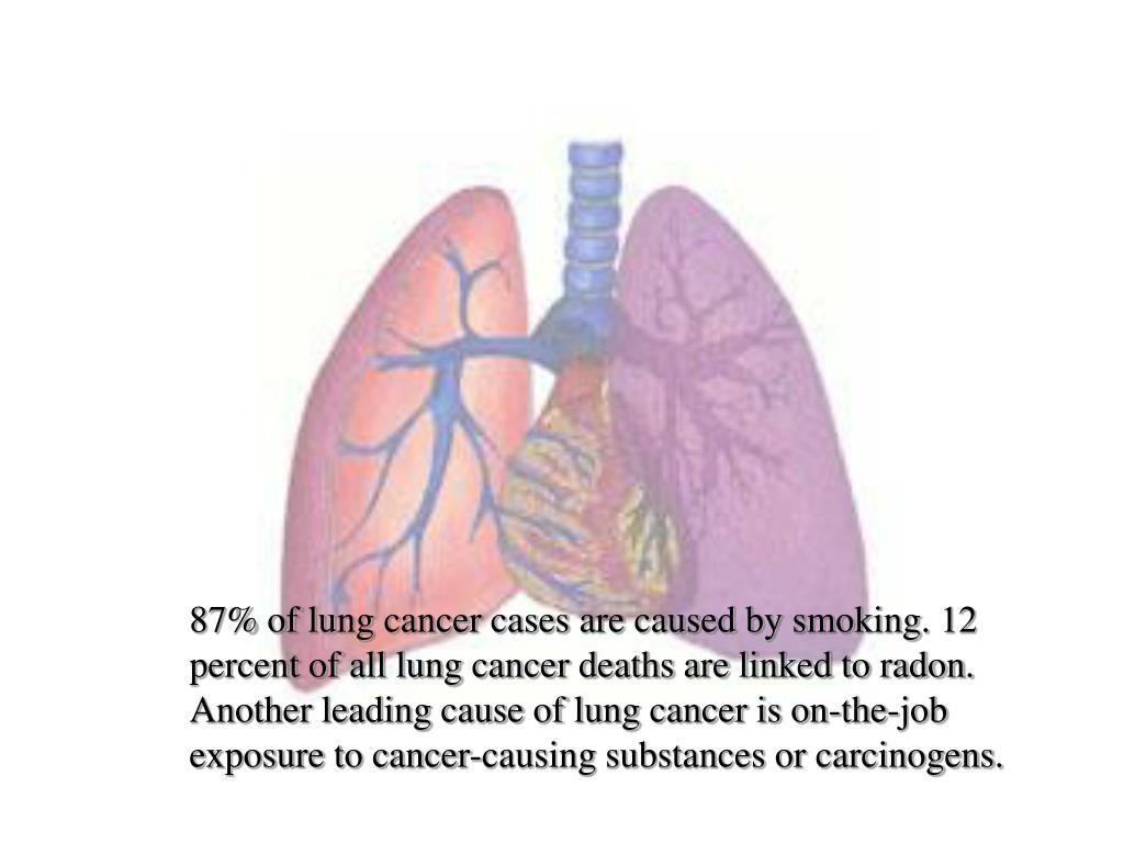 PPT Air Pollution PowerPoint Presentation, free download ID3900393